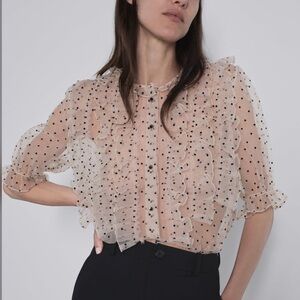Zara Polka Dot Organza Top